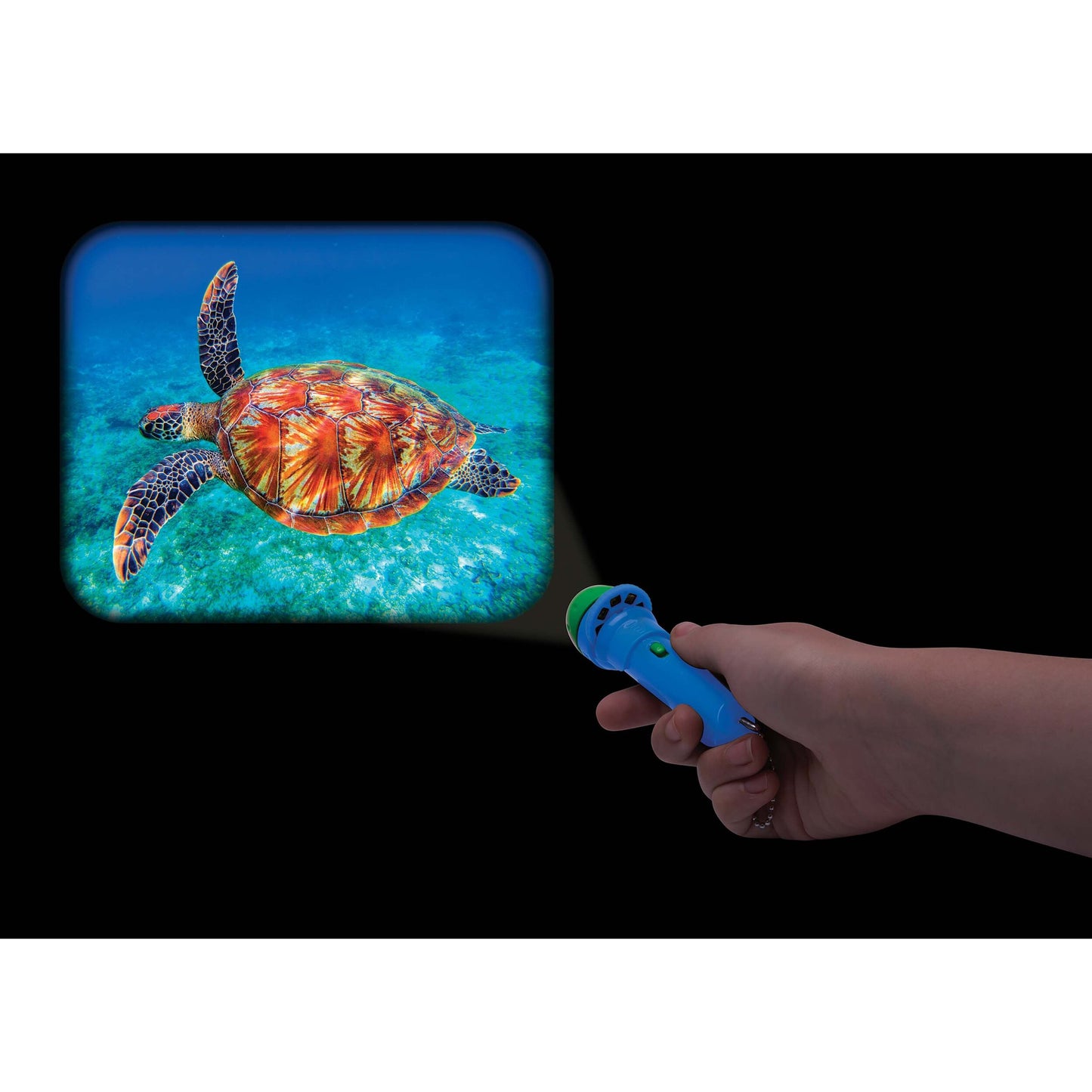 Torch Projector - Animal Kingdom